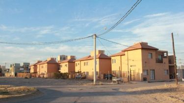 Invasión de vinchucas en un barrio top de San Juan