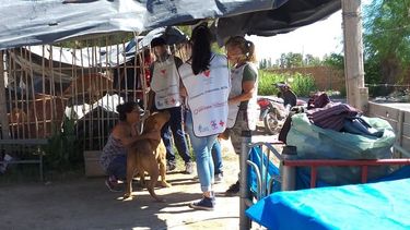 Terremoto en San Juan: las mascotas también fueron asistidas, mirá cómo