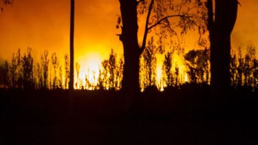 Controlaron el incendio en el Parque Sarmiento