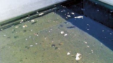 Iglesia: Salud Pública advirtió sobre el agua potable