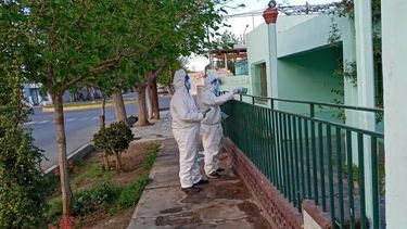 A la par del coronavirus, la lucha contra el dengue sigue en pie