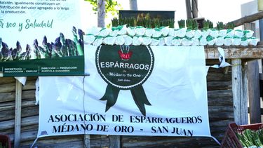La realidad del espárrago en San Juan: menos de 150 hectáreas en los últimos 4 años y la lucha de los productores por sostener la producción