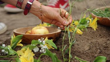 La Secretaría de Ambiente preparó un foro especial por el Día de la Mujer.