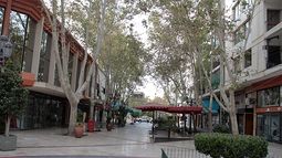 Feriado del sábado 24, ¿abre el comercio en San Juan?