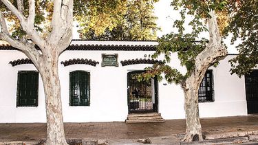 Iluminada por la pluma