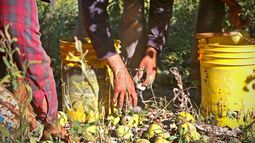 Si no trabajan, no comen: historias de trabajadores sanjuaninos en tiempos de cuarentena