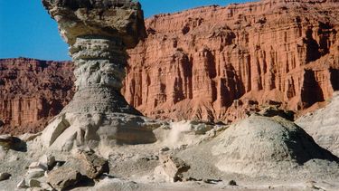 Dinoturismo: En Uruguay ofrecerán paquetes turísticos de Ischigualasto
