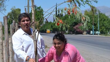 Ambiente controla los forestales entregados a municipios