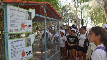 Las colonias de Rivadavia visitan el Faunístico