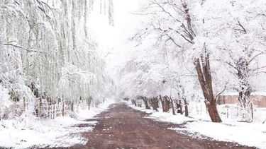 Barreal nevado, la postal que enloquece a todos en las redes