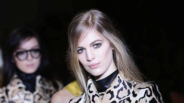 Animal print, instinto glam