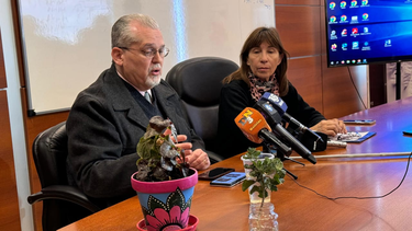 En el Día de Lucha contra el Dengue, desde el Ministerio de Salud ofrecieron una clase práctica sobre prevención de la enfermedad.