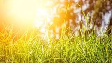 Sube la temperatura baby: cómo estará el clima el sábado