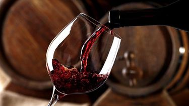 Se viene el Día Mundial del Malbec y así lo festejarán las bodegas sanjuaninas