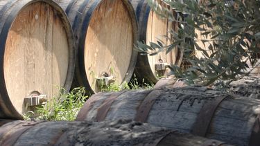 Murió un reconocido empresario vitivinícola de San Juan