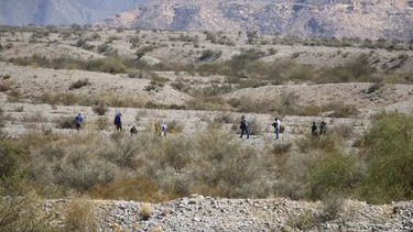 Cerca de donde perros mataron a Florencia Ledesma, una jauría masacró animales de granja&nbsp;