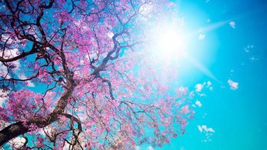 Máxima de 35º con nubosidad variable toda la jornada