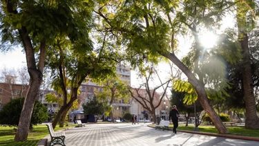 Cómo funcionarán los servicios de Capital en el Día del Maestro