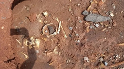 Huesos hallados en el Río Marayes en Caucete. Huesos hallados en el Río Marayes en Caucete.