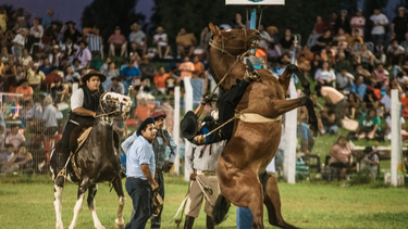 Empieza la Fiesta Nacional de las Destrezas Criollas y del Folklore en Rawson, mirá cómo disfrutarla
