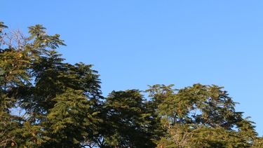 Lunes primaveral: mirá cómo estará el tiempo