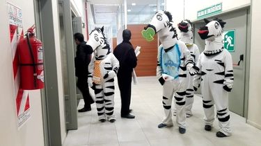 Video surrealista: cebras en los pasillos del Centro Cívico