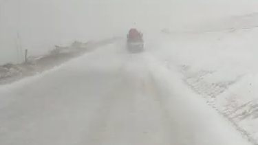 Impactante nevada en Vicuña: caminos cubiertos y visibilidad casi nula