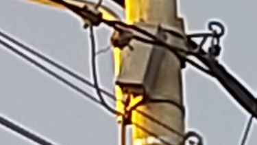 Insólito operativo para bajar un gato sanjuanino de un poste y un final inesperado