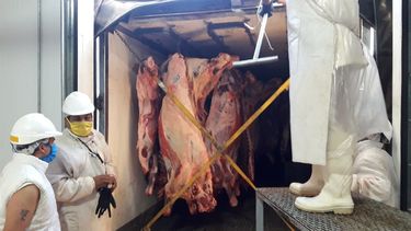 La famosa carne incautada fue para 1.760 familias sanjuaninas de villas