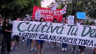 Unas 400 familias utilizan en San Juan el aceite de cannabis