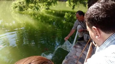 Para prevenir el dengue realizaron una siembra de mojarritas