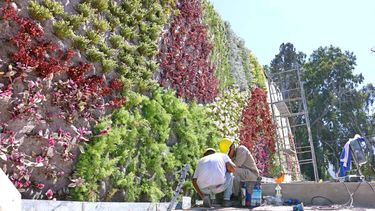 Museo de la Memoria Urbana: un gigante a punto de florecer