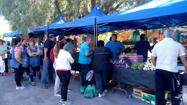 Llega el camión de frutas y verduras a Capital con precios económicos