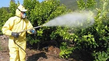 Curso: Uso seguro de agroquímicos