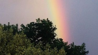 ¿Llega o no llega la lluvia?