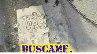 Buscan al perro que un remisero arrastró e hizo sangrar