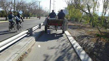 La otra cara de las bicisendas: las usan hasta autos y carretas