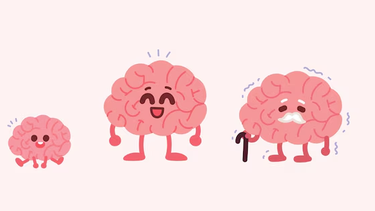 A veces la edad del cerebro de una persona no se corresponde con su edad cronológica.