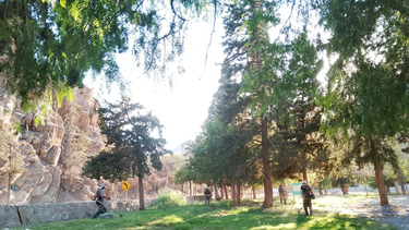 Realizaron tareas de limpieza en la zona de la Quebrada de Zonda, en Rivadavia.