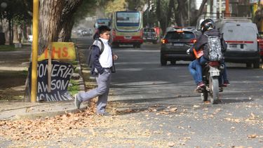 Llegó el Sur, hay alerta y clases normales con una excepción