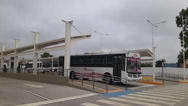 Red Tulum: casi el 50% de los sanjuaninos todavía no descargó la APP