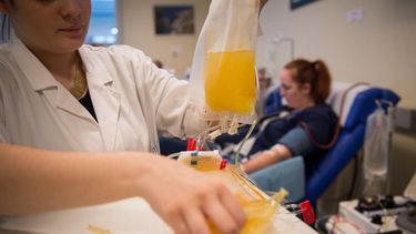 Tratamiento clave: le aplican al quinto paciente plasma de pacientes recuperados