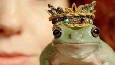 Cuidado con los príncipes azules, te podés tragar un sapo