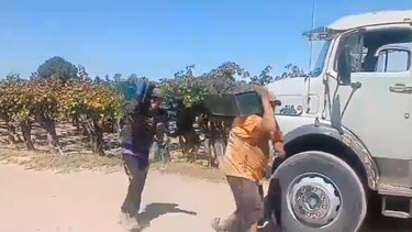 pasos prohibidos en el parral: cosechadores sanjuaninos son furor por un baile viral pasos prohibidos en el parral: cosechadores sanjuaninos son furor por un baile viral