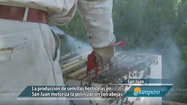 “Sumale miel a tu vida” la dulce propuesta para la semana