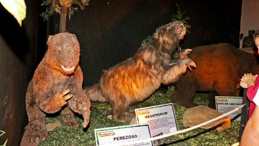 Estrenó la muestra Viviendo con Dinosaurios: ganate una entrada