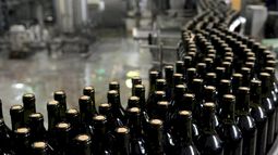 Cayeron los despachos de vinos en San Juan y el sector apunta al efecto mosto Cayeron los despachos de vinos en San Juan y el sector apunta al efecto mosto