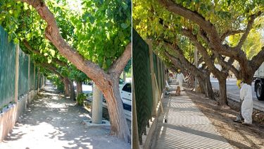 El antes y el después de una de las veredas más famosas de San Juan El antes y el después de una de las veredas más famosas de San Juan