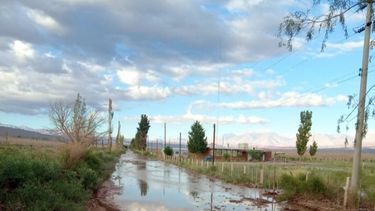 Calle en pésimo estado. Por acá deben pasar los chicos para acudir a la escuelita de Barreal.&nbsp;